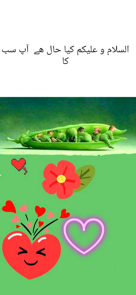 میری والی کے اتنے بچے ہوں گے🙄