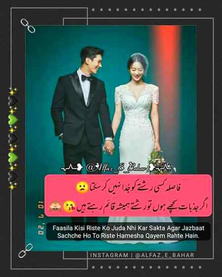 •||•^°°°°^•||•