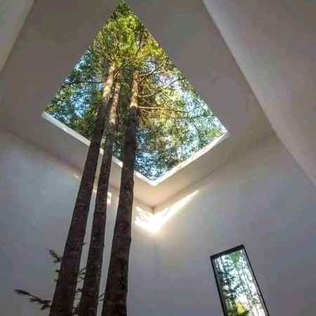 جن سے محبت ہو ان کے لیے جگہ بنا لی جاتی ہے پھر چاہے وہ گھر ہو دل ہو یا زندگی وہاں بہانے نہیں بنائے جاتے