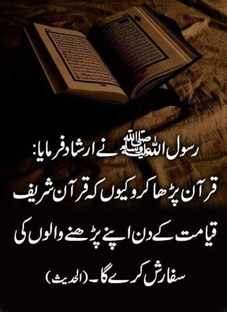 Beshak. ...