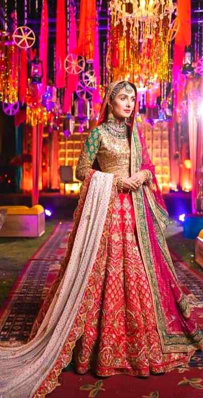 Beautiful MUGHAL SHARNI liked😍💓👈🐯