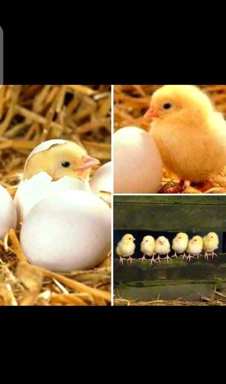 Hmm cute na😍