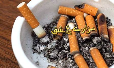 *تم  نے  نشے  کو  زہر  کہا  تم  کو  کیا  پتا* 

*_محترمہ_*

*کتنوں کو خودکشی سے نشہ روک رہا ہے*💯🔥