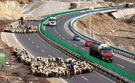 this is abbotabad...