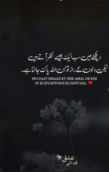 Beshak 💯😇