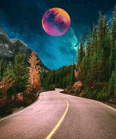 moonlight