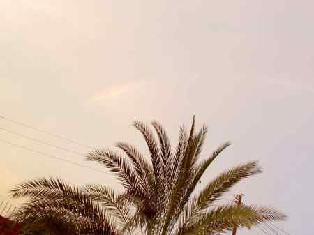 Rainbow🌈🌈