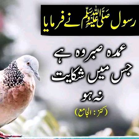 Sabar ak bht bari neki h.
