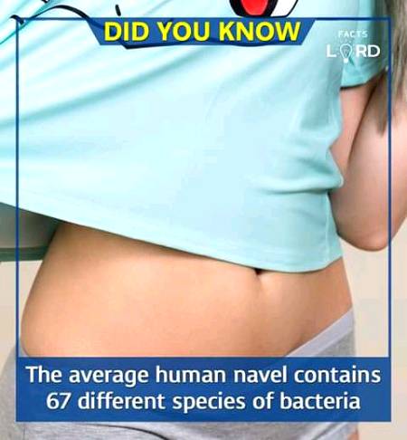 Unbelievable facts 💥💥