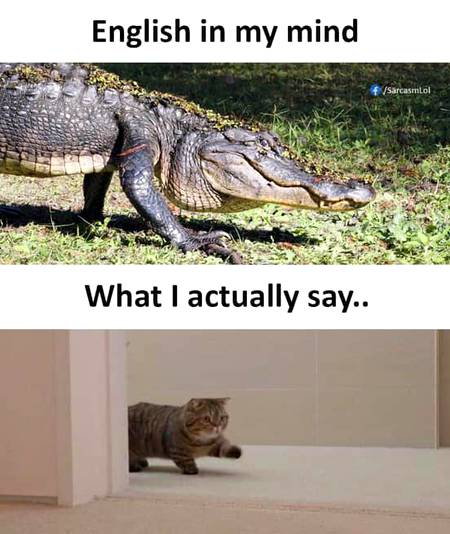 True af😶😥