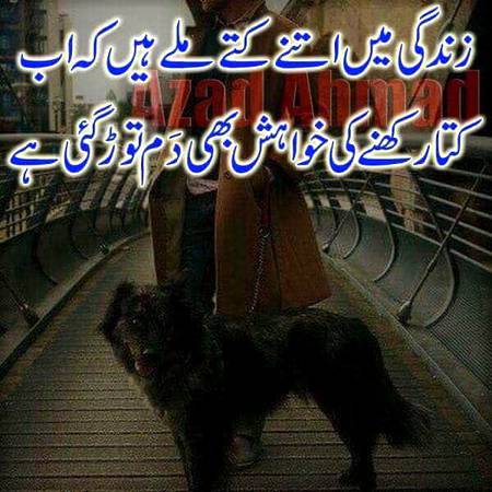 True that