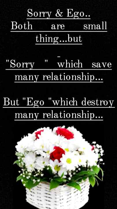 Sorry & Ego