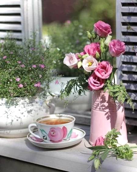 ❣️☘️السلام علیکم و رحمتہ اللہ وبرکاتہ☘️❣️
صبح بخیر زندگی☘️💦
💞'گڈمارنینگ ٹو ااااال 💕
❣️☘️دعا ہے رب سے کہ وہ آپ سب کو ہمیشہ آسانیاں کامیابیاں اور خوشیاں نصیب فرمائے اچھی صحت مند لمبی زندگی عطا فرمائے☘️❣️ 
اور کبھی کسی کا محتاج نہ کرے
ہمیشہ اللہ پاک آپ کی حفاظت فرمائے
ہمیشہ اللہ کی امان میں رہیں❣️
 ❣️آمیــن  ثم آمیــــن یا رب العالمین❣️__❤