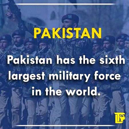 Fact knowledge