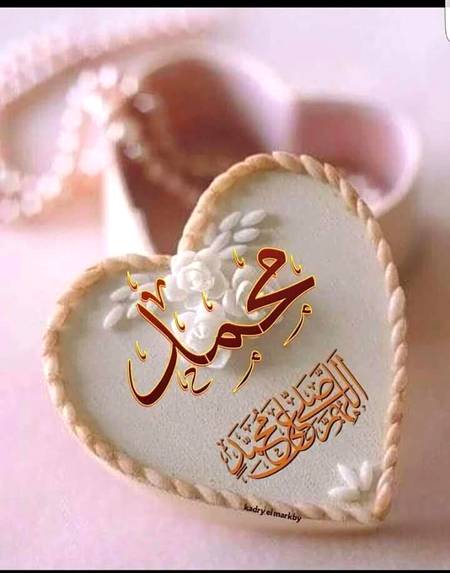 رسول اللہ صلی اللہ علیہ وسلم نے فرمایا:  میں تمہیں جس چیز کا حکم دوں اسے مانو، اور جس چیز سے روک دوں اس سے رک جاؤ