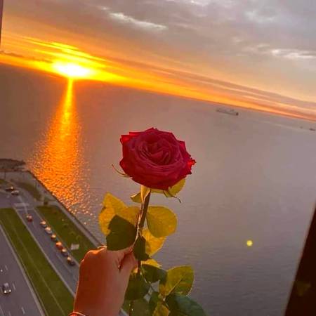 تعلق میں اداکاری نہیں ، وفاداری کا معاملہ رکھیۓ..!
*شام بخیراچھے لوگو!