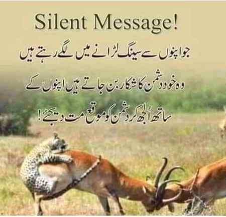 Hmmmm right👍