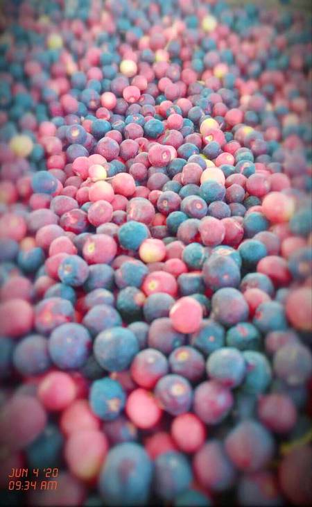 hayeeee Ab to mosam bhe chla gaya😋😋😋😘😘