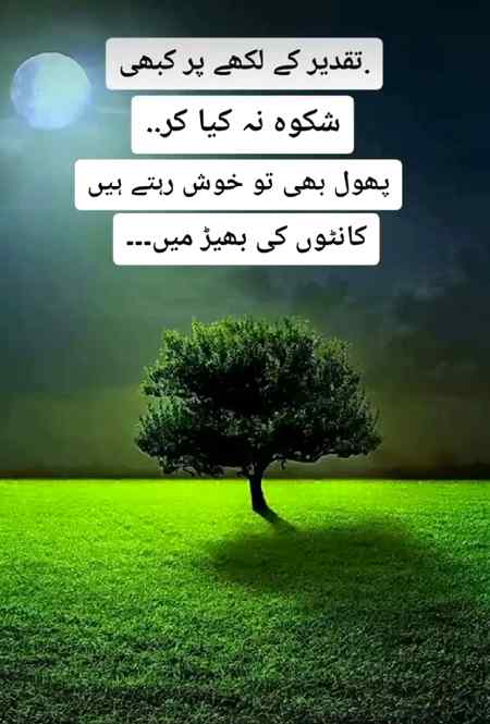 Thats true