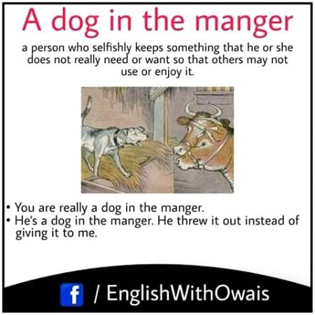 A  dog 🐕 in a manger