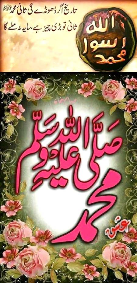 🌹🌹🌹صلی اللہ علی حبیبہ محمد نور من نوراللہ وعلی آلہ واہل بیتہ وعترتہ وازواجہ وصحبہ وجدہ وذریتہ و کل امتہ وبارک وسلم کثیراً کثیرا و دائماً ابدا 🌹🌹🌹
