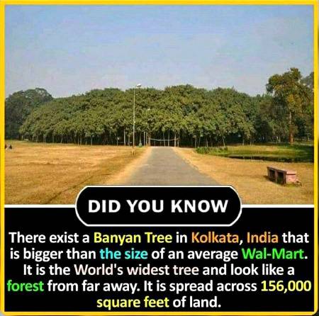 DID YOU KNOW??