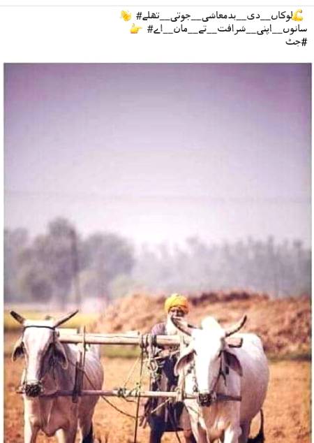 Bilal JuTt