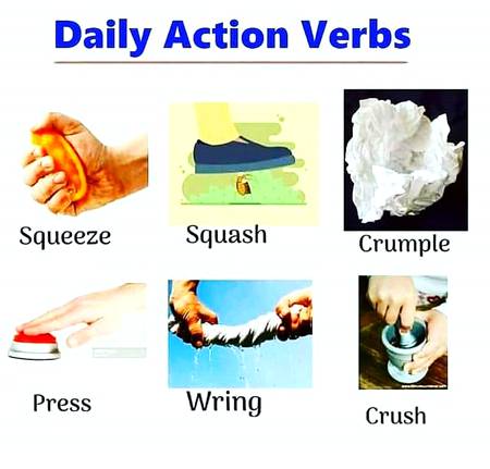Daily action verbs