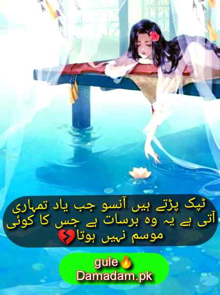 gule🔥Damadam Lover💕
