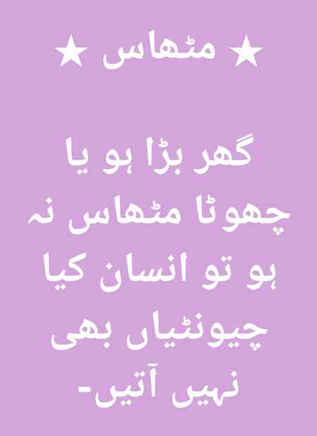 Aahhooo 😋😋😋😋