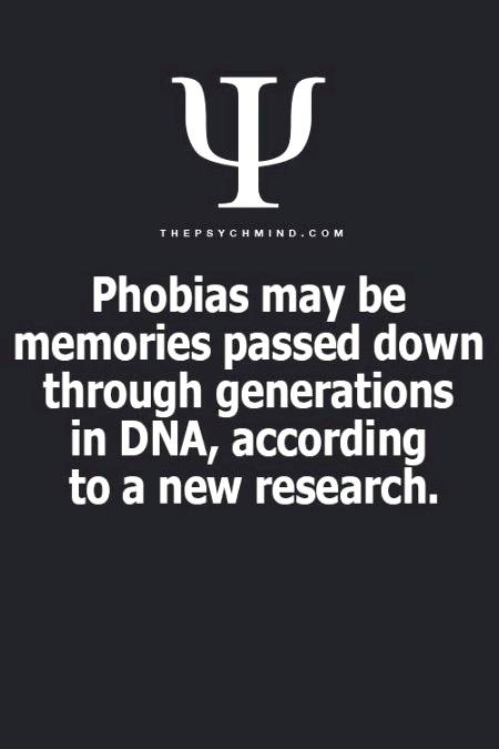 Psychology facts