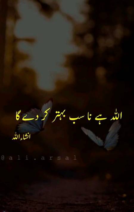 Bs Bharwasa Hona Chahiye ❤