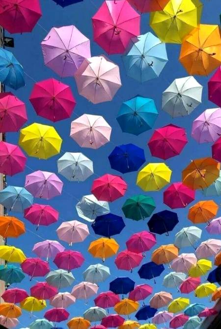 Colourful Umbrella 🔥🔥