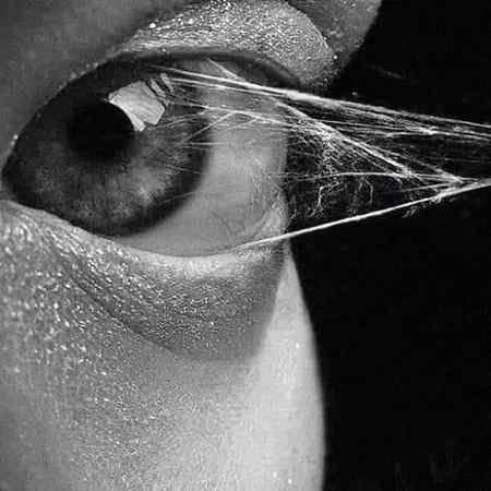 *آنکھ سے کھینچ کر_نکالے ہیں*
*خواب ویسے بھی مرنے والے تھے*