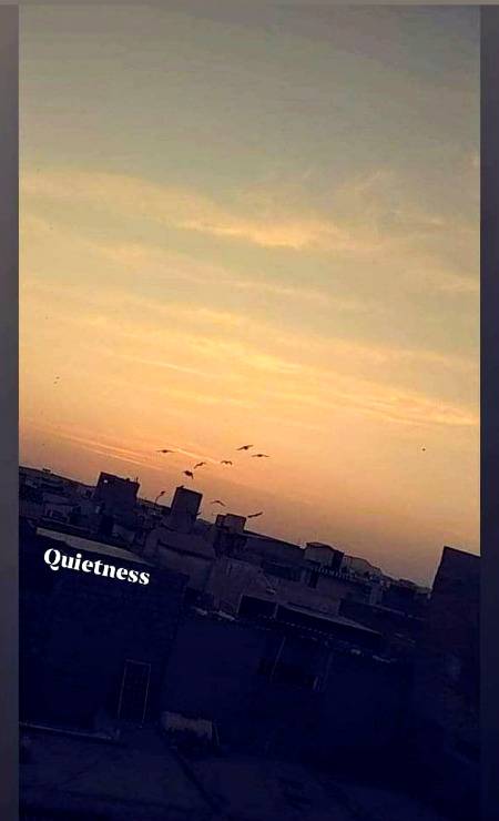 Silence everywhere!