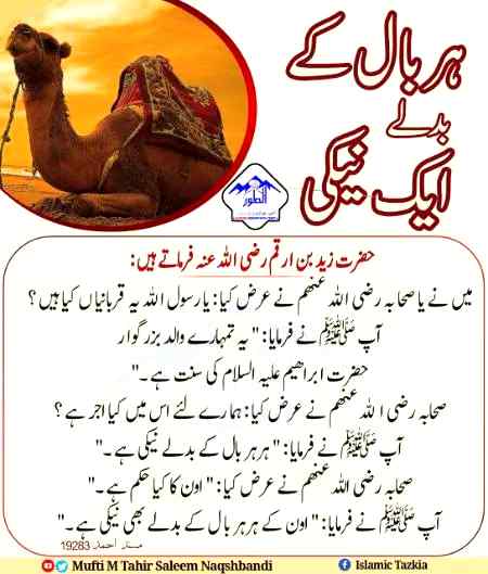 Masha ALLAH subhan ALLAH