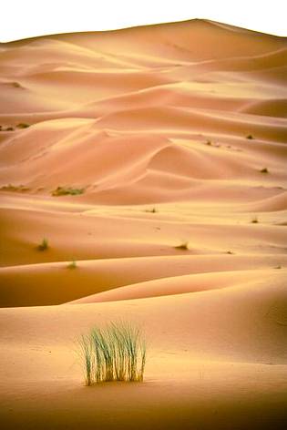 Morocco Desert photography 🔥🔥