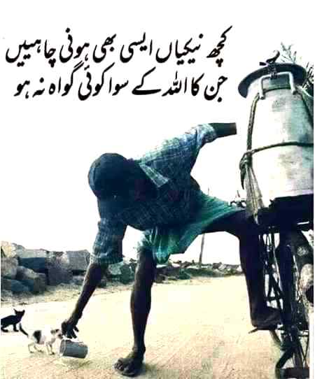 .. 👇 👇 Bilkul sahi 👇👇..