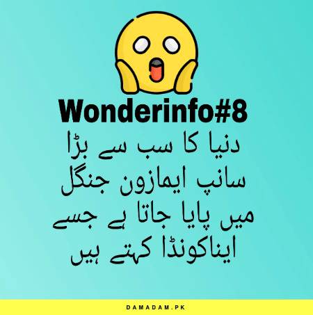 Wonderinfo_8