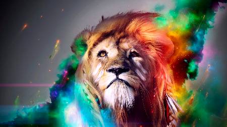 The king..