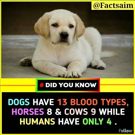 Did you know
