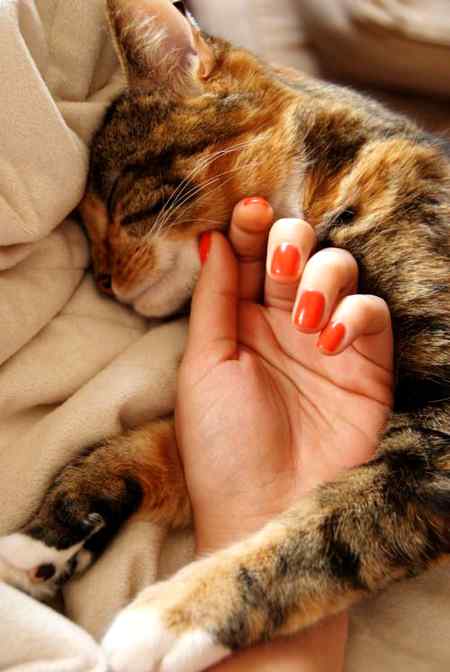 Gdnit.... ❤️ ❤️ ❤️