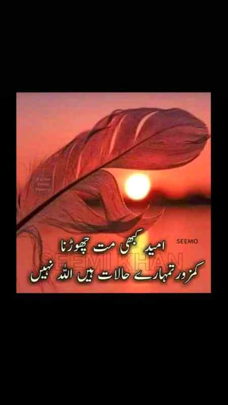 Sending by fareed ahmed shaikh