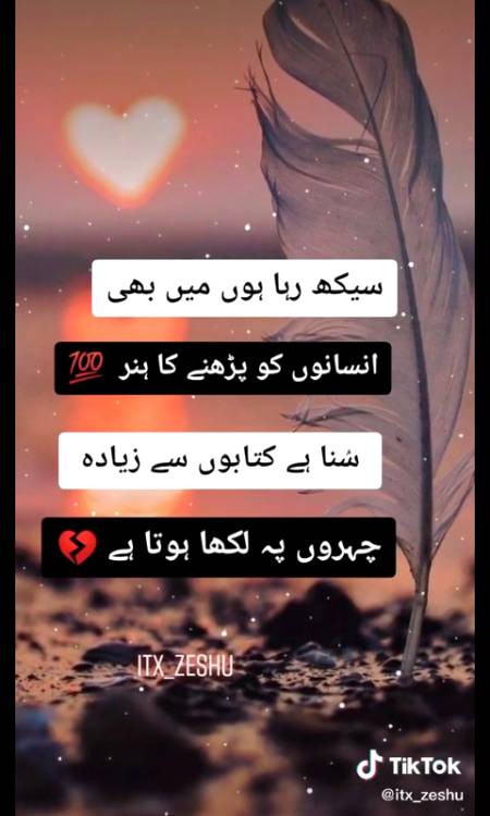 جو کبھی پڑھا نہیں کتابوں میں زندگی جینے کا وہ ہنر انسانوں سے سیکھ رہا ہوں۔ کچھ منافقت کے اثرات میرے لہجے سے بھی عیاں ہو رہے ہیں زمانہ مجھے بھی دیکھ رہا ہے۔