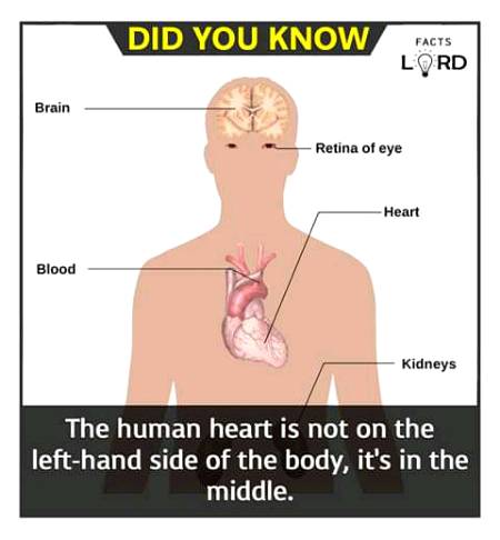 Unbelievable facts 💥💥