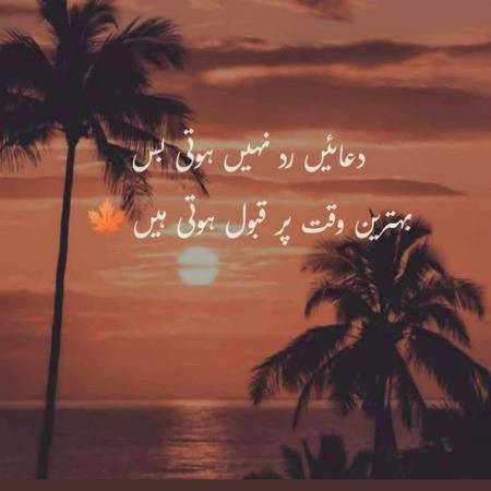 Beshak ...
