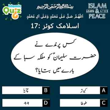 Dso sary jwab meno v ni pta
Jhali Anu😇