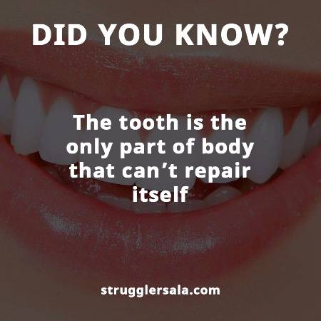 Do you know that about teeth ??