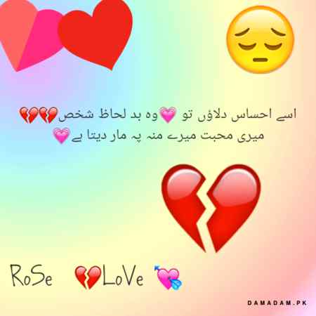 RoSe.... 🌹🌹