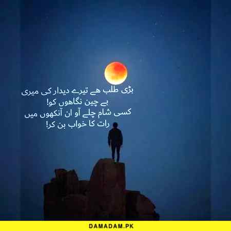 .._zehu_..
